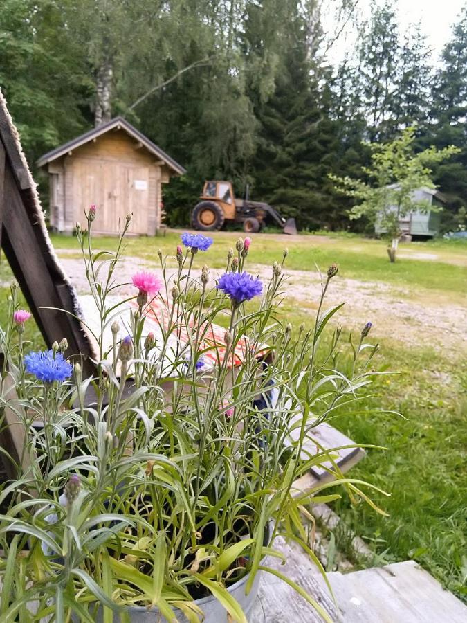 Kulttuurikartano Pekan Pirtit Haapavesi Экстерьер фото